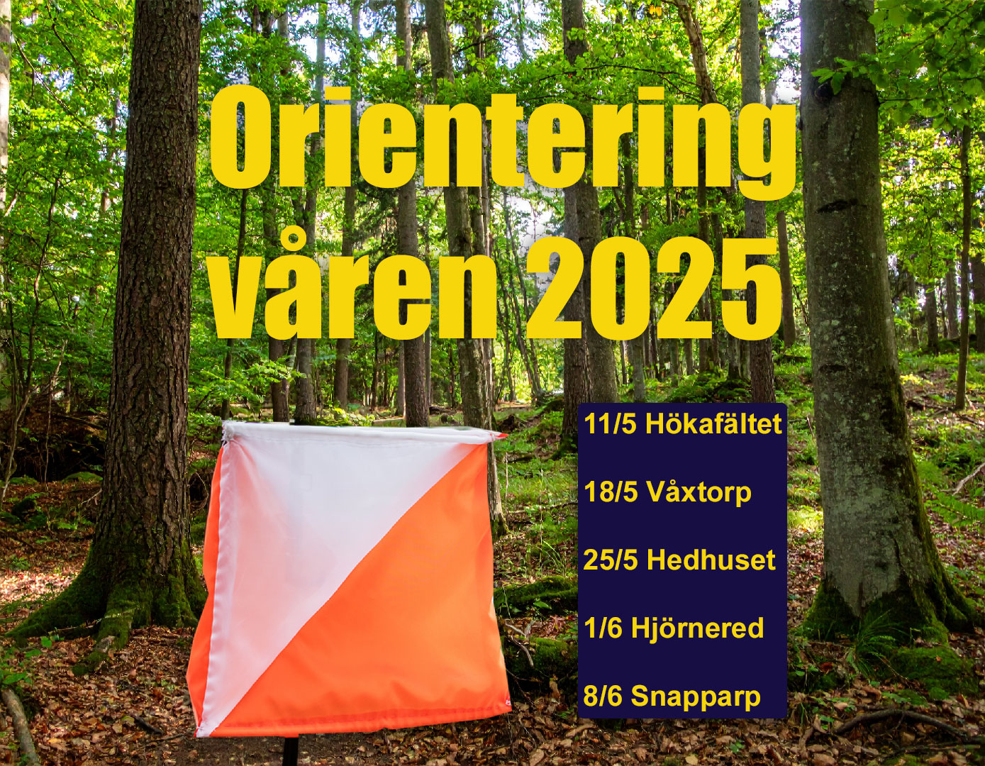 image: Orienteringsträningar i maj och juni