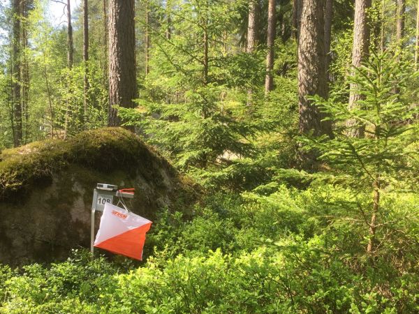 image: Vill du springa stafett-DM 30 augusti - anmäl dig nu