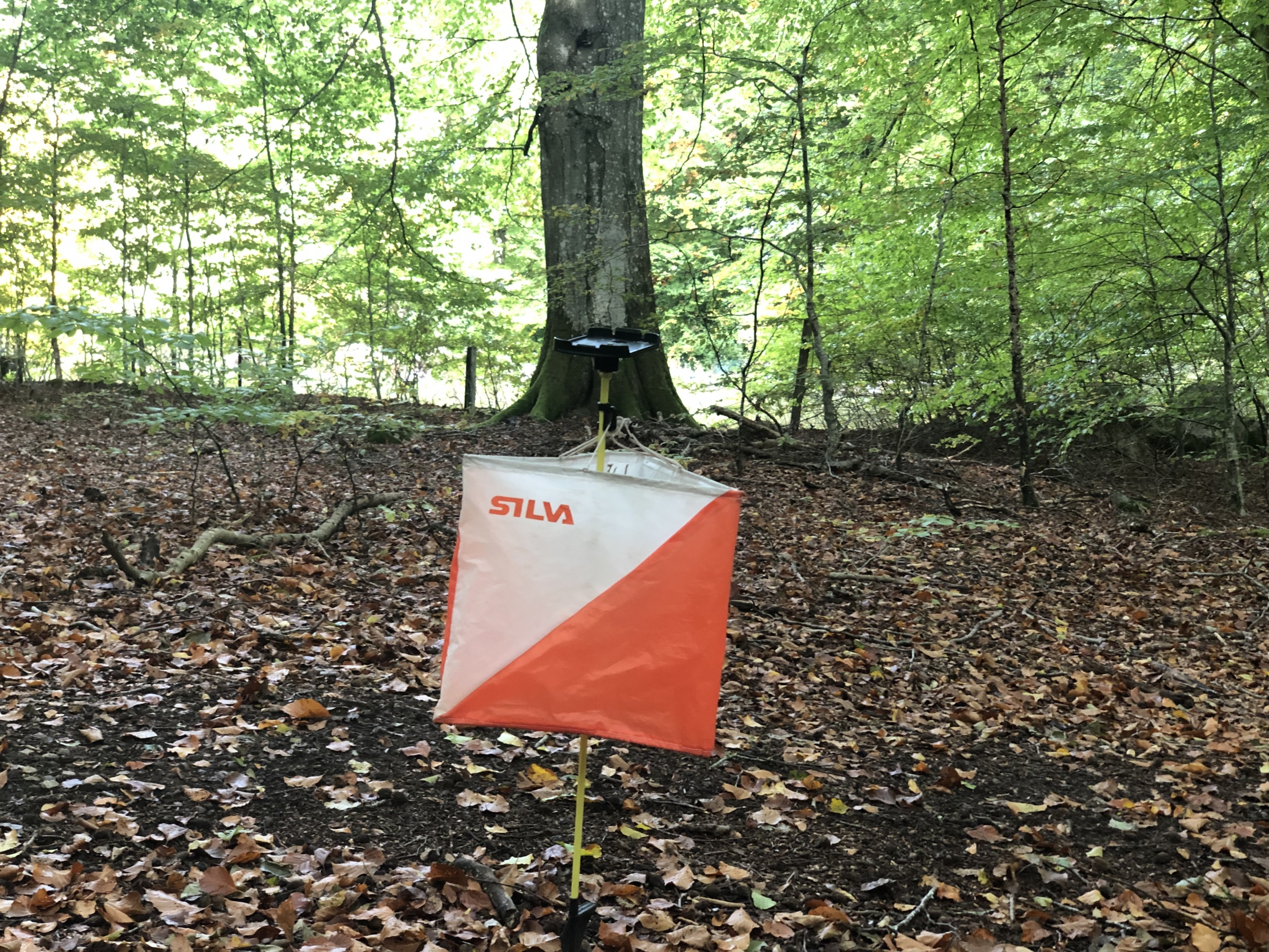 image: Orienteringsträningar i Laholm våren 2026